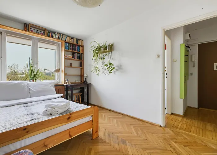 Apartment Karmelicka 19 View By Solarento